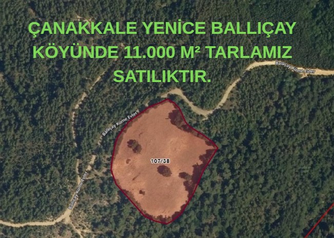 ÇANAKKALE YENİCE BALLIÇAY KÖYÜNDE 11.000 M² TARLAMIZ SATILIKTIR. - ÇANAKKALE YENİCE fotoğraf 4